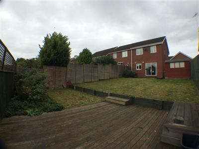Picture 11